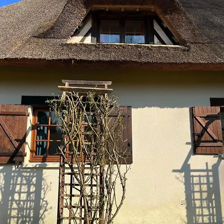 Chaumiere Normande Avec Piscine Naturelle Saint-Martin-Saint-Firmin