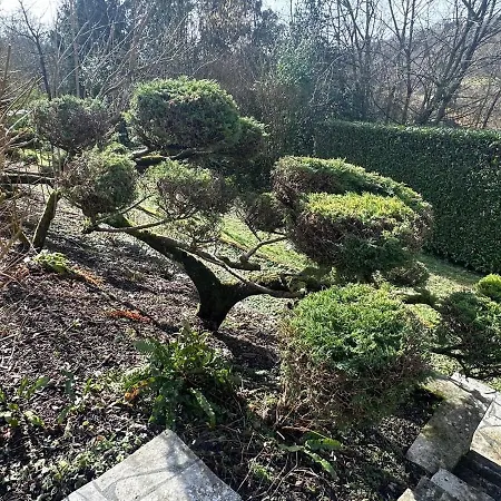 Chaumiere Normande Avec Piscine Naturelle Vakantiehuis