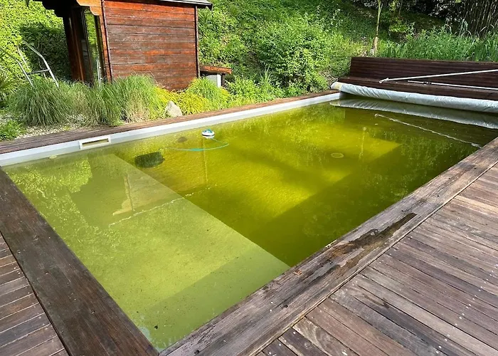 Holiday home Chaumiere Normande Avec Piscine Naturelle *