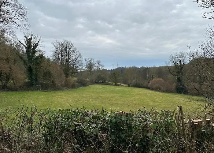 Chaumiere Normande Avec Piscine Naturelle *