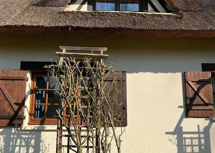 Chaumiere Normande Avec Piscine Naturelle Saint-Martin-Saint-Firmin